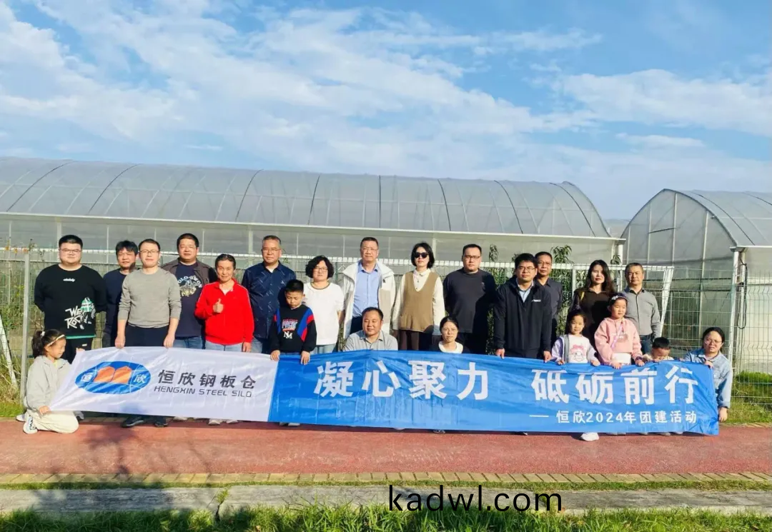 篤定(ding)前行,行(xing)穩(wen)緻遠--2024恆(heng)訢年度髮(fa)展與展朢
